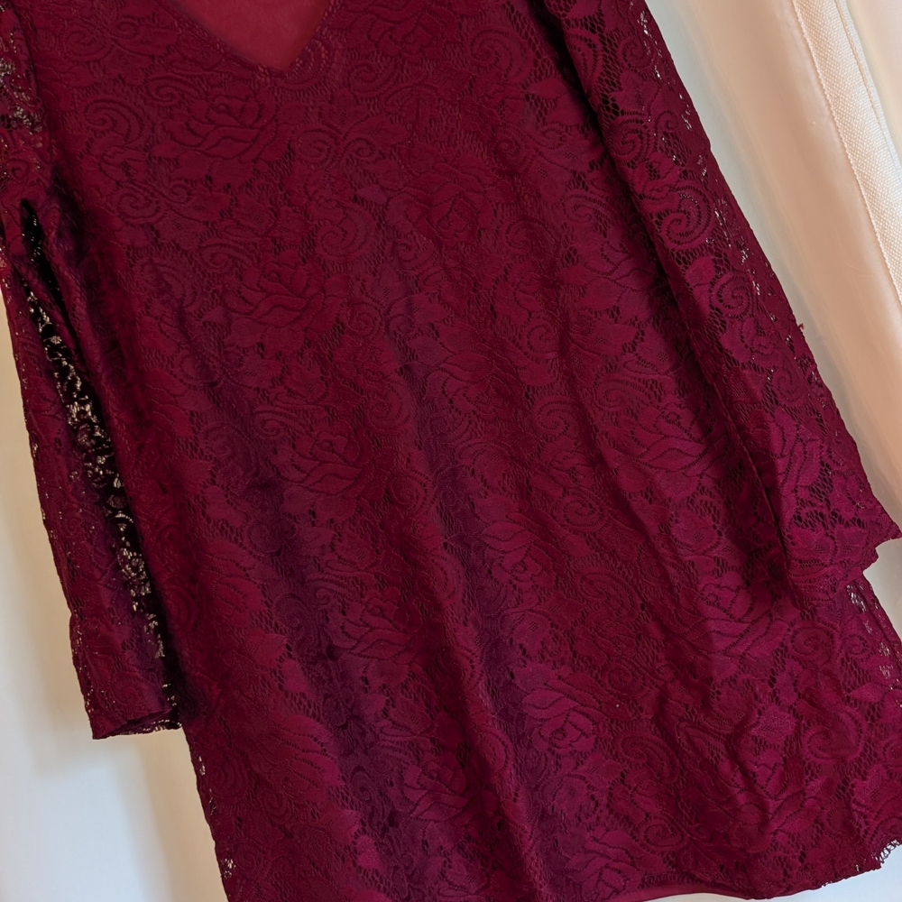Pinkblush Deep Red Lace Mini Dress